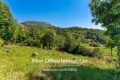 terrain LES ORRES 3788987_2
