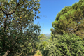 terrain GRIMAUD 3807949_0