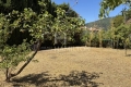 Maison CHATEAUNEUF-GRASSE 6 pi&egrave;ces 3818942_1
