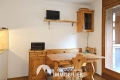 Appartement LES CONTAMINES-MONTJOIE 1 pi&egrave;ces 3822186_1