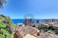 Maison ROQUEBRUNE-CAP-MARTIN 3832415_1