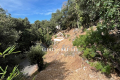 terrain TOURRETTES-SUR-LOUP 3833030_1