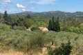 Maison PARADOU 7 pi&egrave;ces 3833657_0