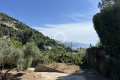 terrain ROQUEBRUNE-CAP-MARTIN 3840213_3