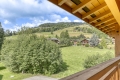 Apartment MEGEVE 2 rooms 3847062_2