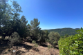 terrain TOURRETTES-SUR-LOUP 3855505_0