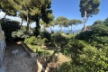 Maison CAP D'ANTIBES 3854961_3