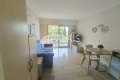 Appartement NICE 1 pi&egrave;ces 3856802_0