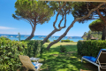 Apartment LE LAVANDOU 2 rooms 3857186_2