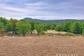 Maison LA GARDE-FREINET 3862847_3