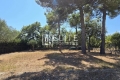 Appartement MOUANS-SARTOUX 3862876_3