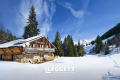 Maison MORZINE 3877211_0