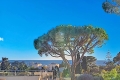 Appartement CANNES 3880461_1