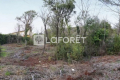 Building plot OPIO 3881072_3