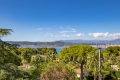 Maison CAP D'ANTIBES 3884678_1