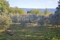 Building plot GORDES 3887040_0