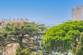 Appartement CANNES Croisette-Palm-Beach 3888339_0
