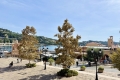 Appartement VILLEFRANCHE-SUR-MER 3 pièces 3895925_0