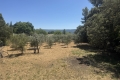 terrain GORDES Sud Est 3899029_0