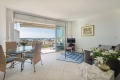 Appartement CANNES 3 pi&egrave;ces 3906659_2