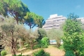 Apartment JUAN-LES-PINS 2 rooms 3913529_0