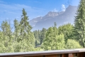 Appartement MEGEVE 3916113_1