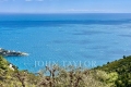 terrain EZE 3921410_2