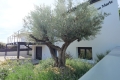 Maison VAUX SUR MER 3923275_3