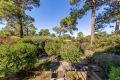Maison PYLA-SUR-MER 3923688_0
