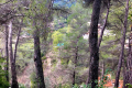 terrain TOURRETTE-LEVENS 3924424_3