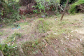 terrain MENTON 3927565_1