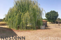 Maison ST ROMAIN DE BENET 6 pi&egrave;ces 3933466_1