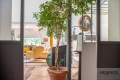 Maison CASTELNAU-LE-LEZ 3938520_3