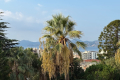 Appartement CANNES 3 pi&egrave;ces 3942790_0