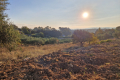 terrain LORGUES 3942774_3