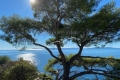 Maison LE LAVANDOU 3943800_3