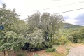 Maison ST-CEZAIRE-SUR-SIAGNE 2 pi&egrave;ces 3947488_2