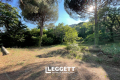 terrain LA GARDE-FREINET 3952757_2