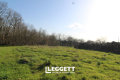 terrain NIEUIL 0 pièces 3952833_3