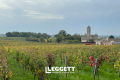 Commerce ST-EMILION 3955742_1