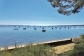 House LEGE-CAP-FERRET 3968348_1