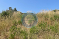 terrain VALLAURIS 3958163_2
