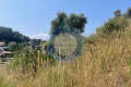terrain VALLAURIS 3958163_3