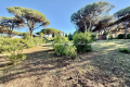 Building plot STE-MAXIME 0 rooms 3966554_0