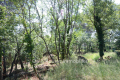 Building plot ROQUEFORT-LES-PINS 3968401_0