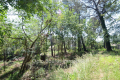Building plot ROQUEFORT-LES-PINS 3968401_1