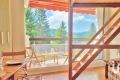 Appartement VILLARD-DE-LANS 1 pièces 3994829_1