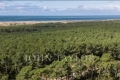 Maison LEGE-CAP-FERRET 4026410_2