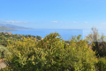 Maison ROQUEBRUNE-CAP-MARTIN 4027094_1
