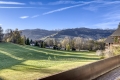 Appartement MEGEVE 4037809_2